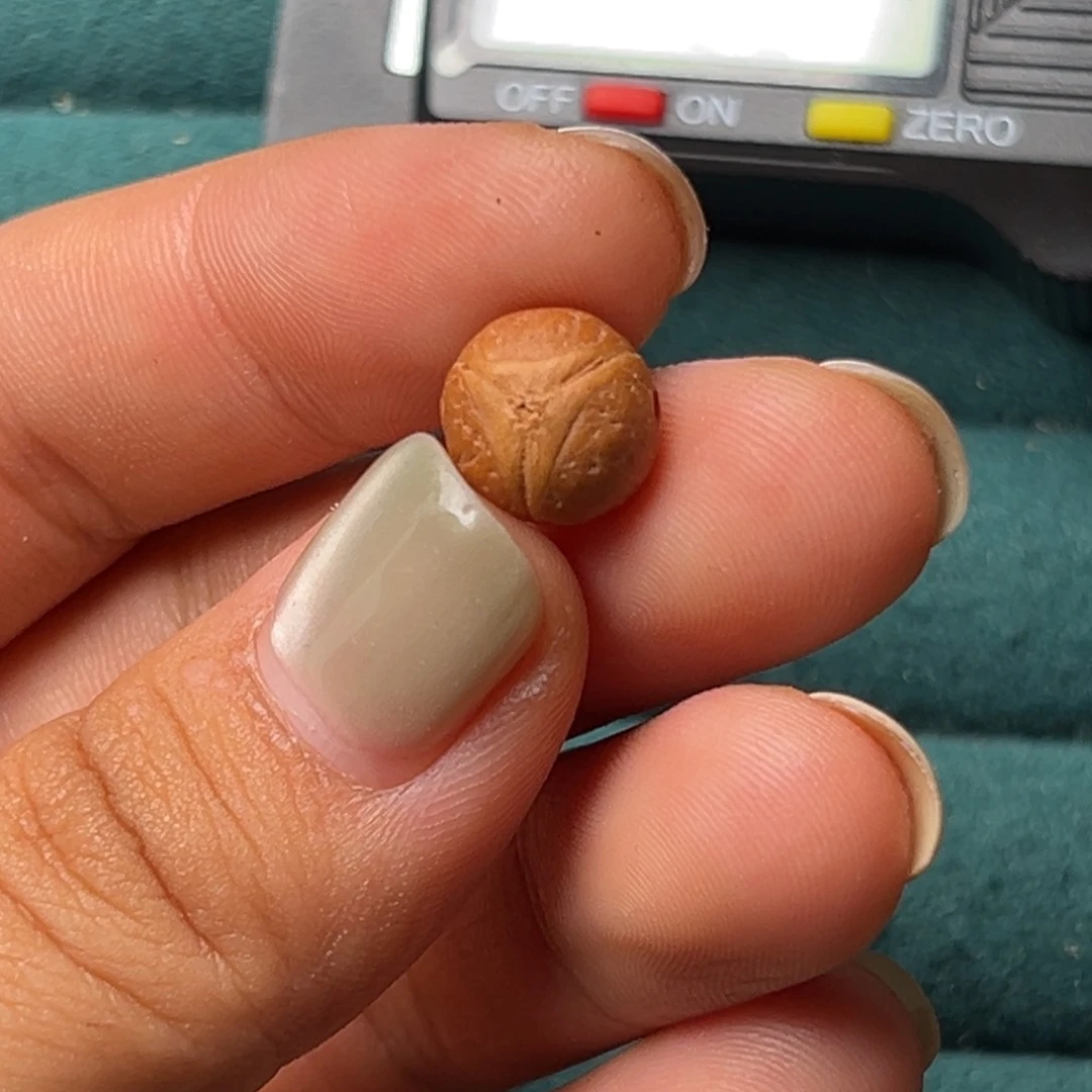 手串凤眼菩提-*实心籽龙眼