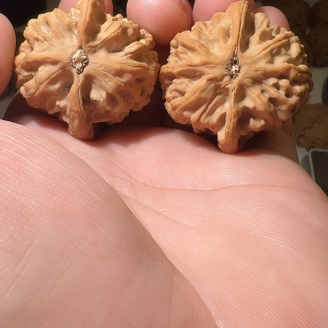 王***儿把件文玩核桃文玩