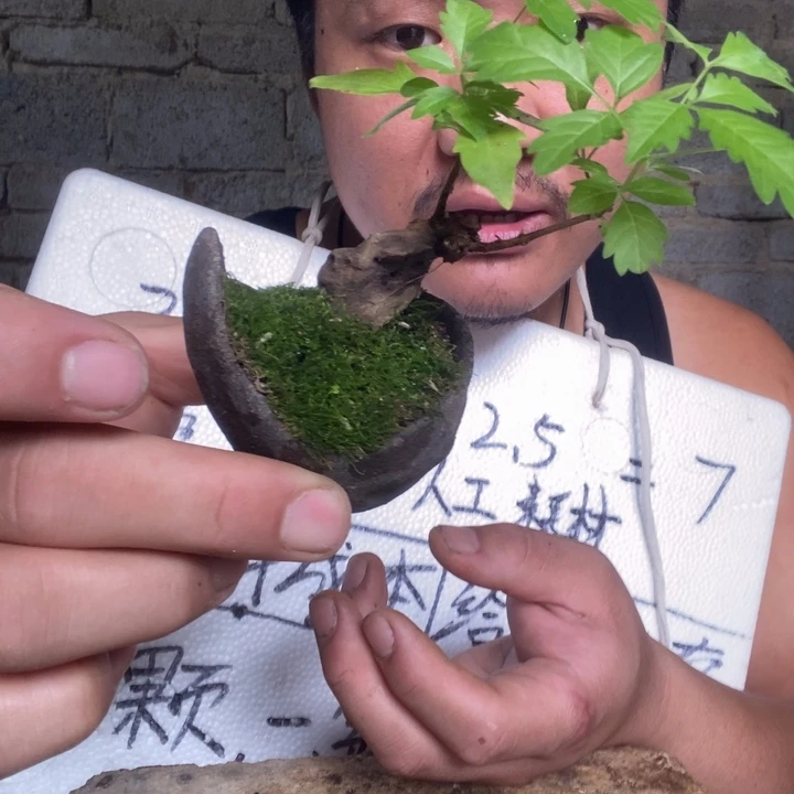 我*天退款拉黑一物一拍271