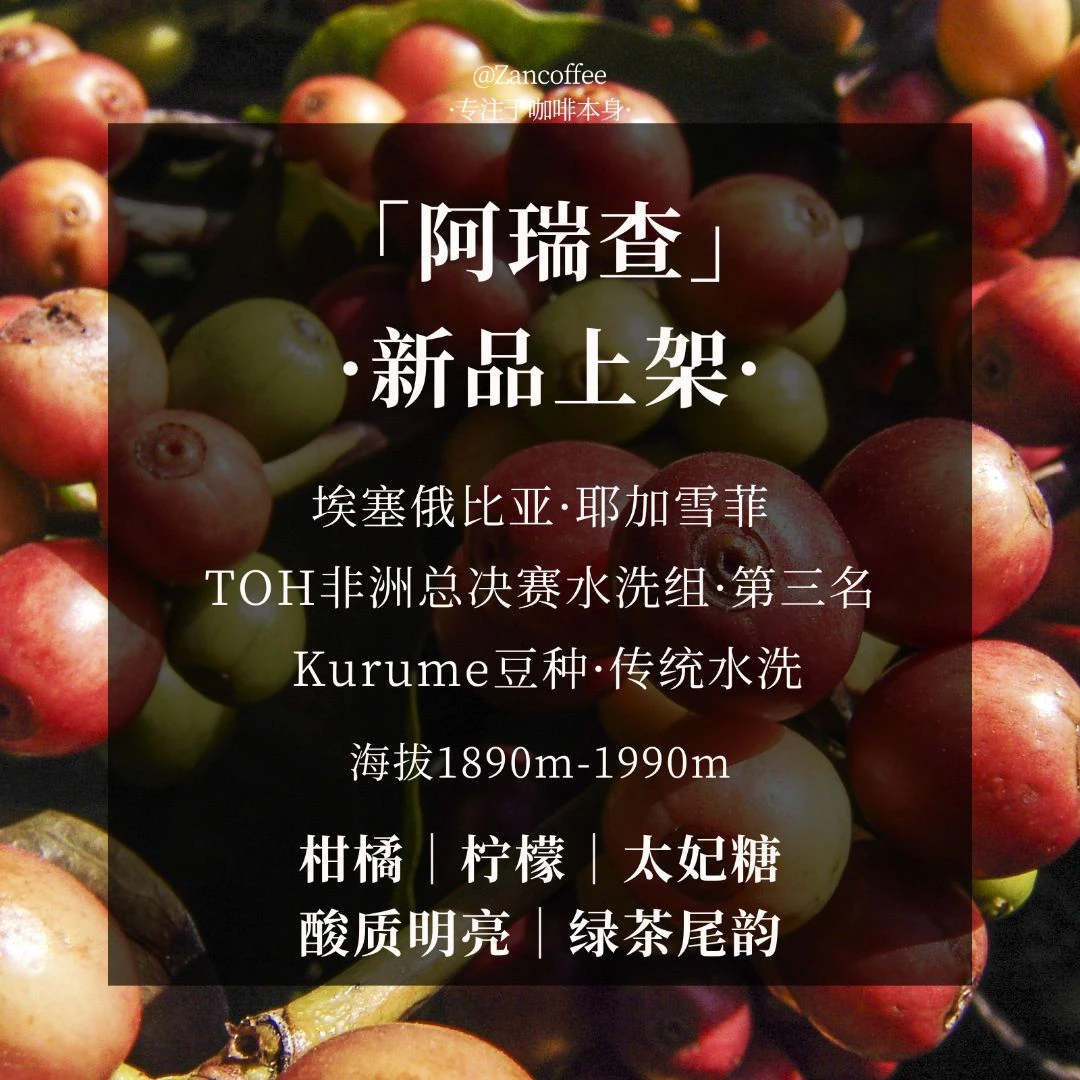 阿瑞查·toh非洲总决赛第三名