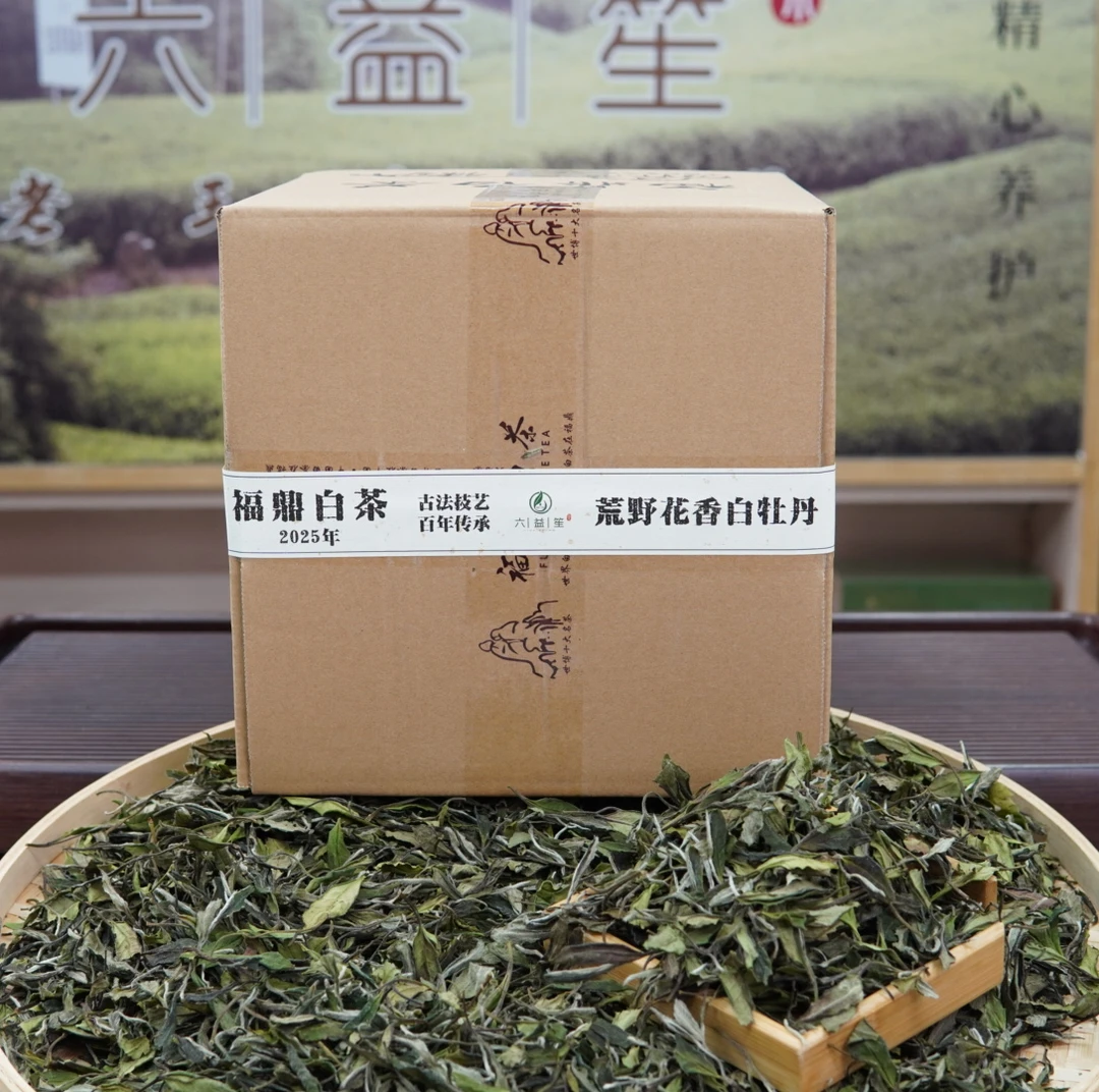 1000g大份量福鼎2025年明前荒野花香白牡丹