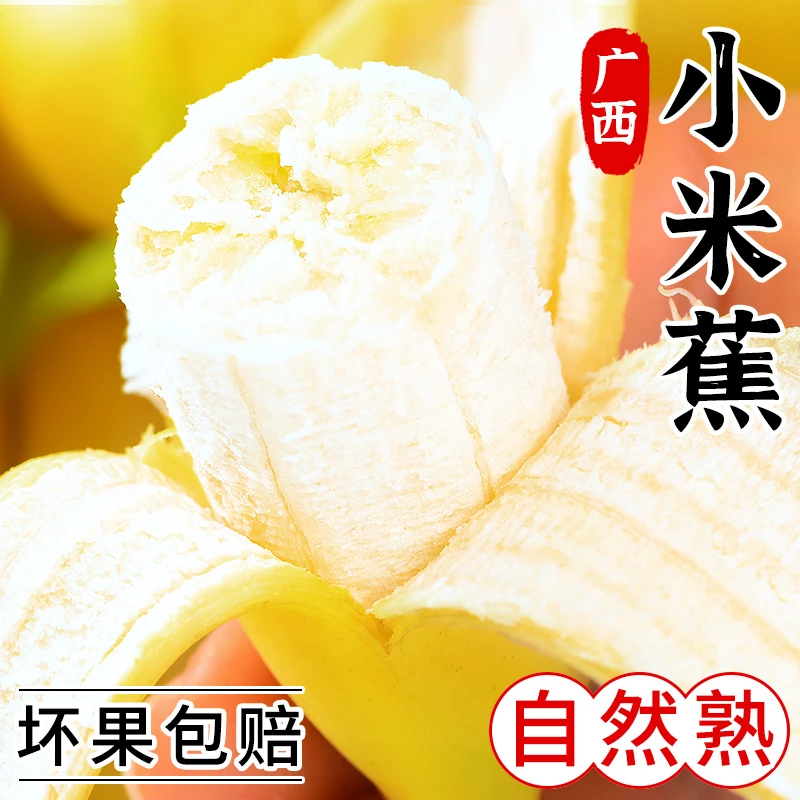 正宗小米蕉香蕉新鲜自然熟应季当季批发整箱小米芭蕉香焦包邮