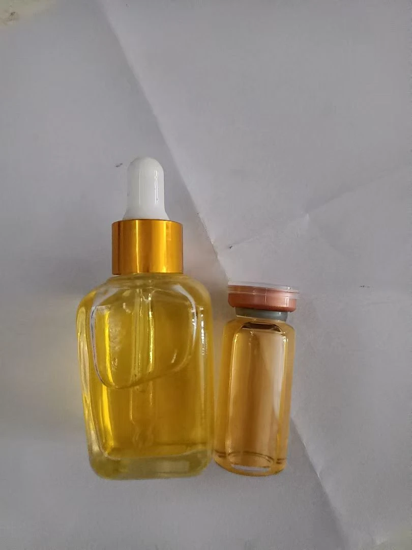 【阿宇推荐】----不  老  花    参