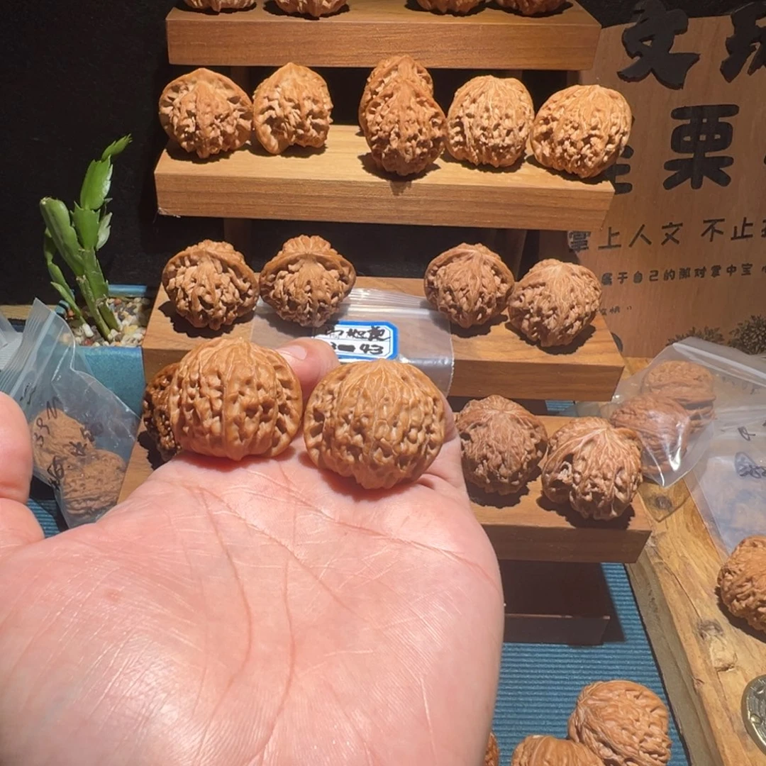 雅***士核桃全品无修 33 山地磨