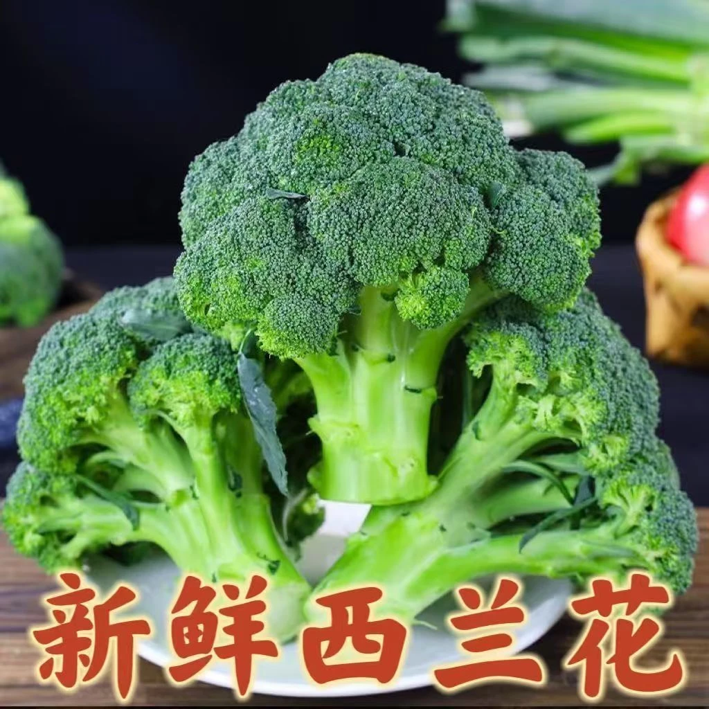 新鲜西兰花产地直供现摘现发露天种植清甜可口时令蔬菜