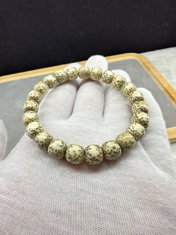 勿拍超级福袋专用链接，随机发一根海南星月菩提