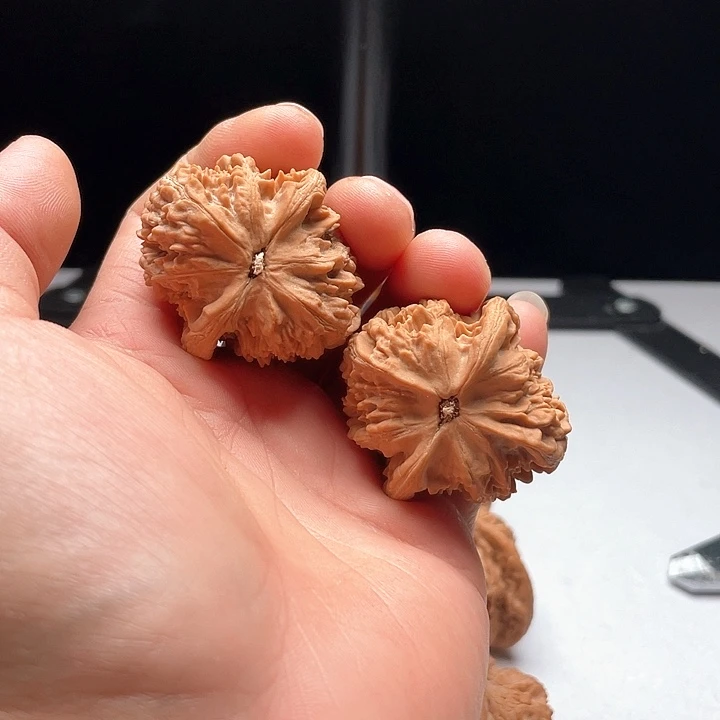 吊坠文玩核桃天*粗筋马蹄