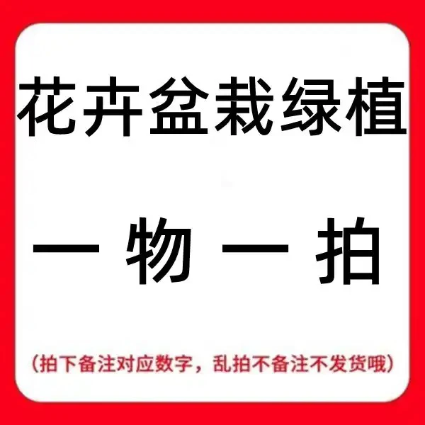 树苗盆栽庭院种植阳台绿植果树地栽
