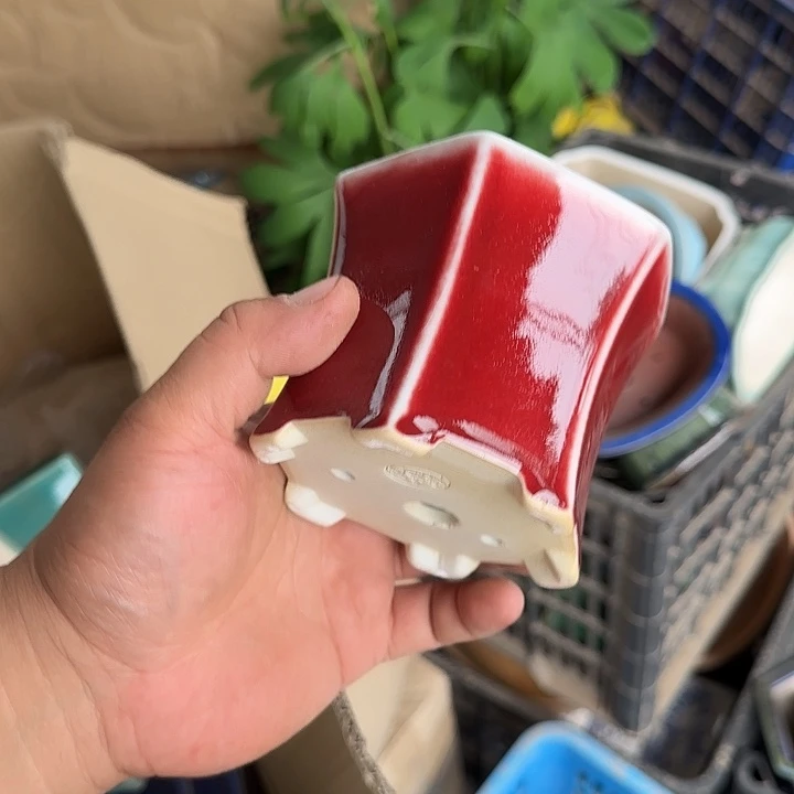 这个我都想了啊好家伙也