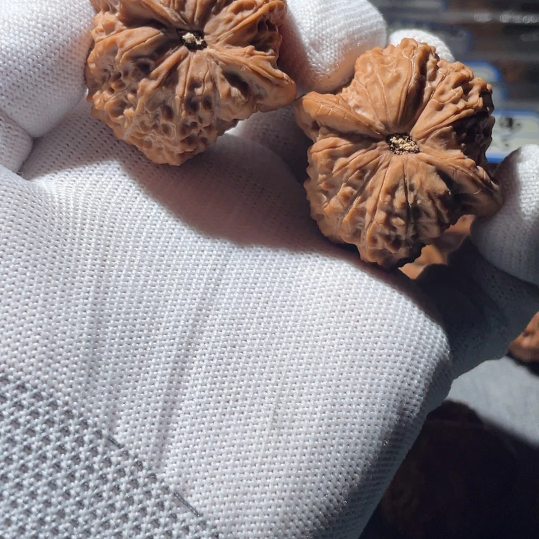 ****️吊坠桃核41 全品血麒麟
