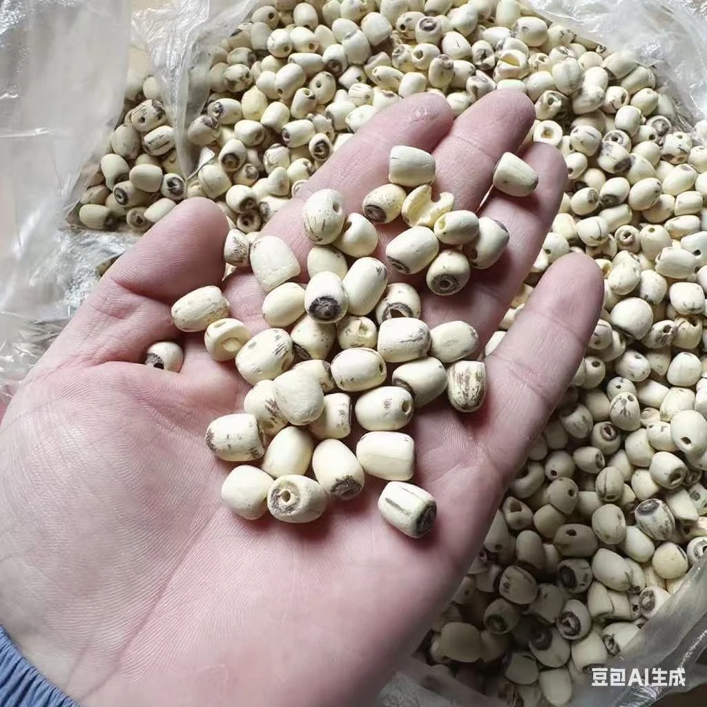 【现收】手工去芯莲子 适合煲汤 500g新货正宗特产 不苦无硫