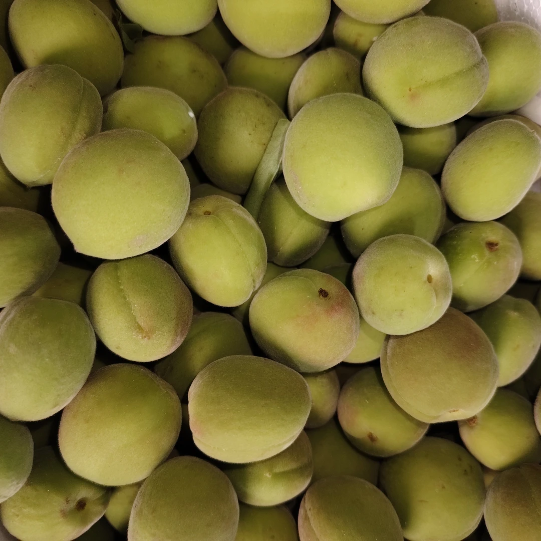 غۇرا  青杏子（170g~190g)