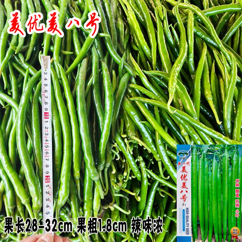 长线椒种子香辣脆青线椒美优美八号辣椒种春秋四季田园农家蔬菜种