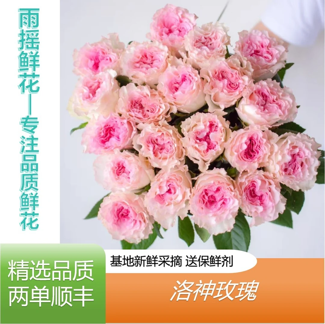 【洛神】云南基地直发任意拍两单顺丰 插花 鲜花直播间现场卖花