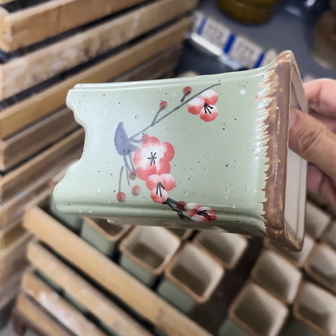 福利局绿植多肉盆［凑9元包邮24小时发］