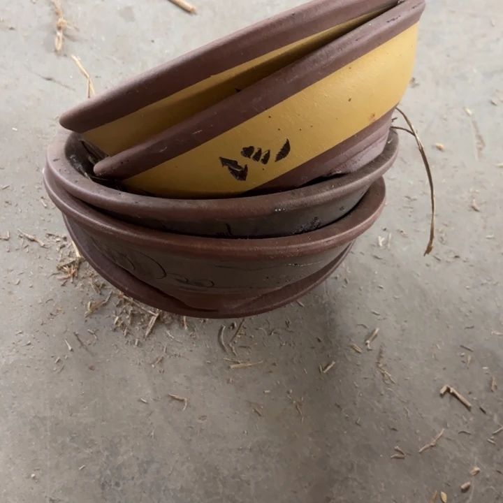 紫砂花盆50-5。       21.5-6.5