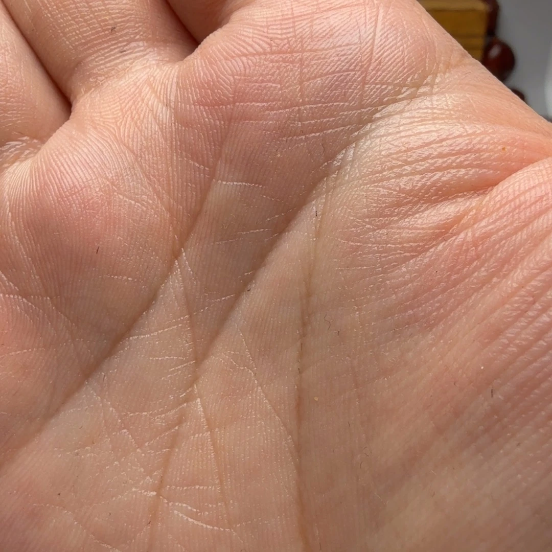 木***人橄榄核手串/手链果王别拍