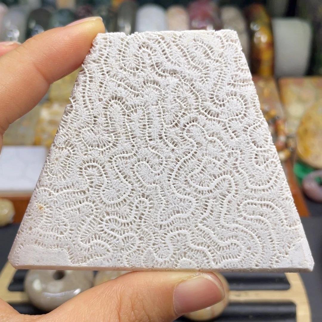 硅化玉未镶嵌颈饰标本龙骨