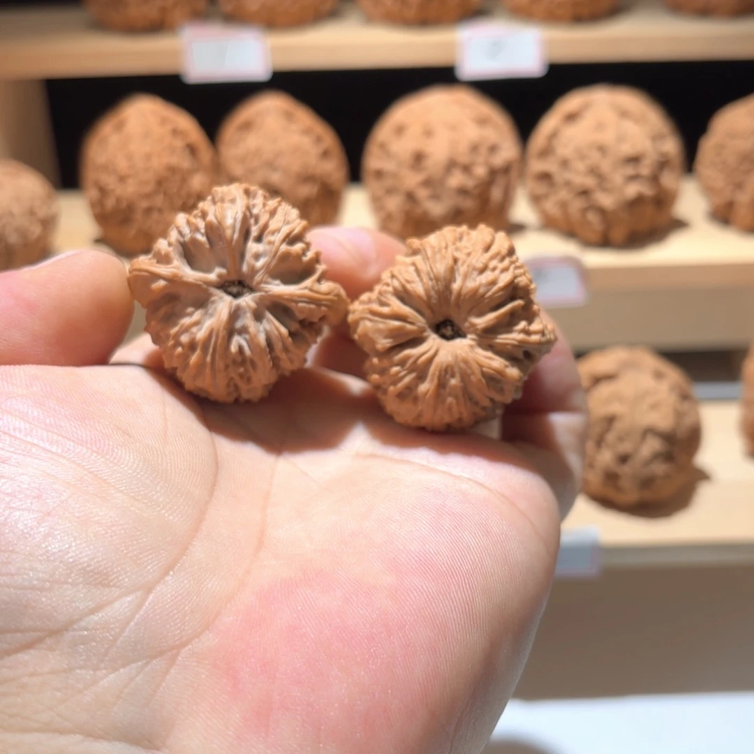 m***o桃核吊坠涿鹿南将福利