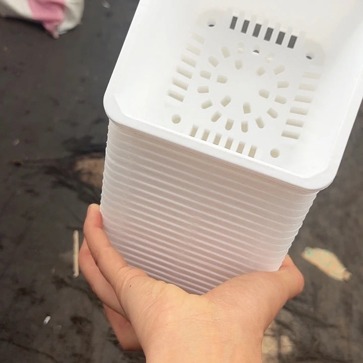 120白方盆11公分高8公分20个