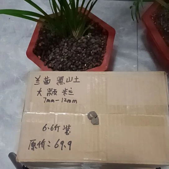 ****哥兰菌黑山土大颗粒6.6斤