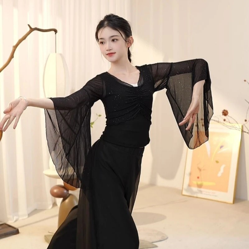 现代舞假两件身韵网纱拼接舞蹈上衣中国舞古典舞古典舞服装