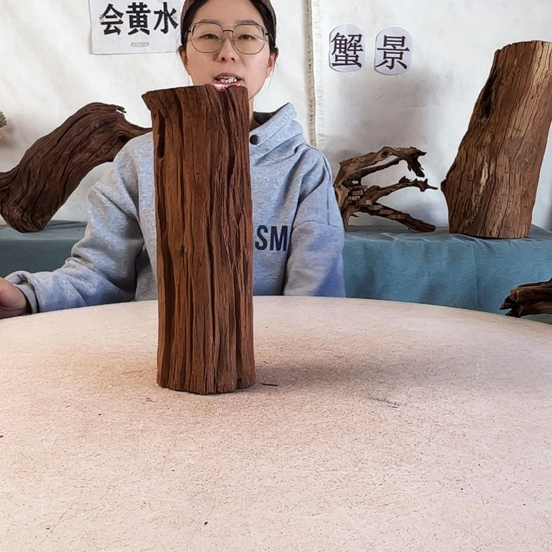 沉木造景爬宠造景