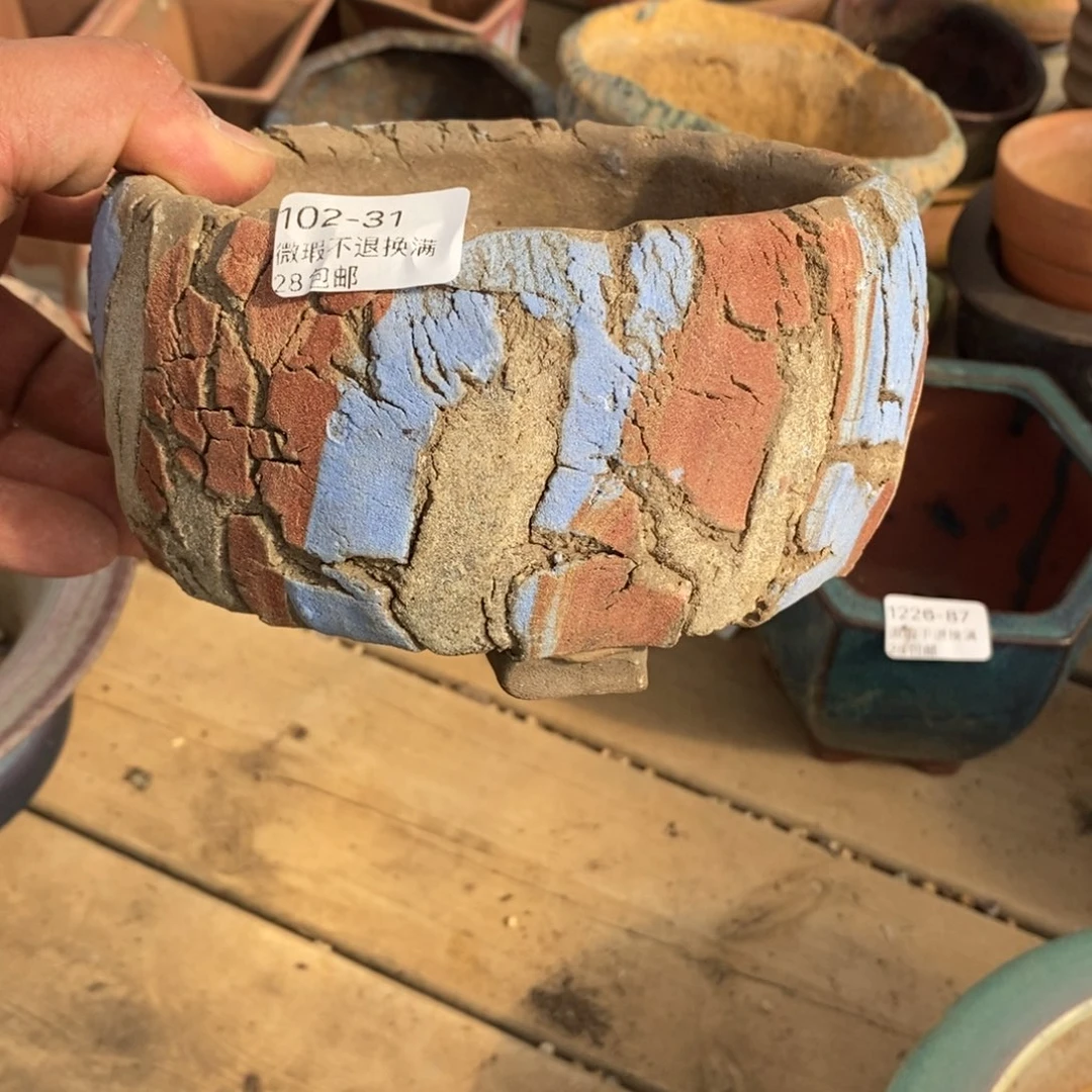 31号花盆内12.5高8.5