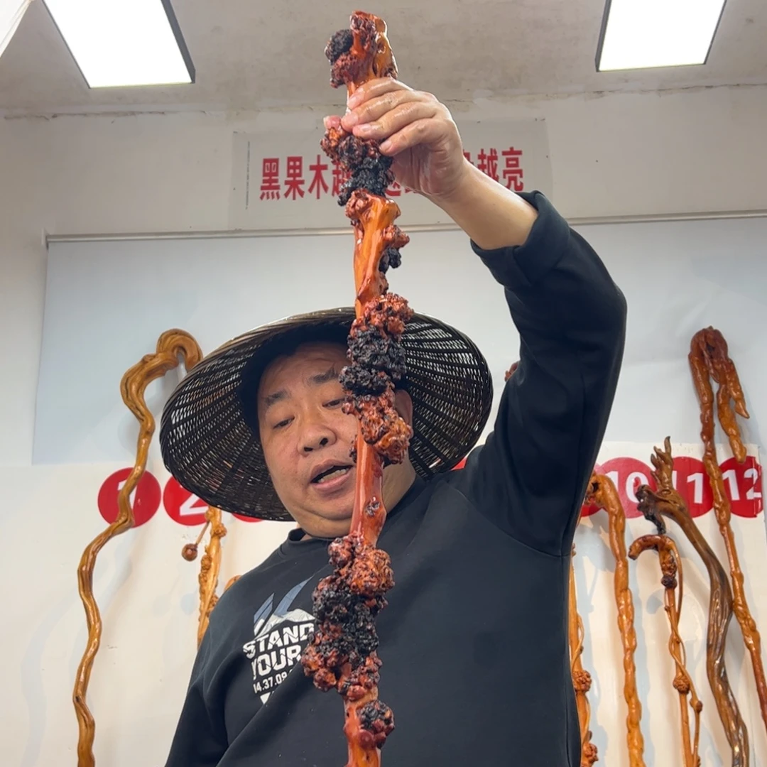 益***哥黑果木其他黑果木125