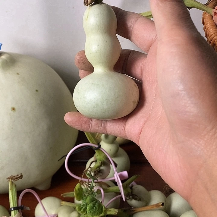 竹***宁青皮葫芦手把件摆件