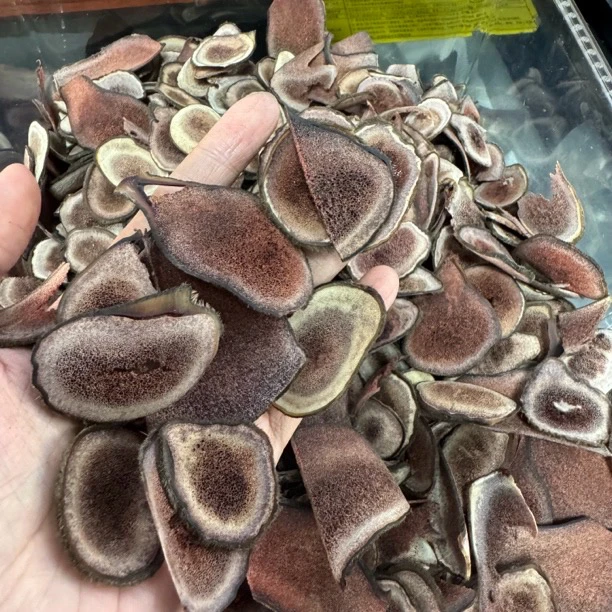 【凤姐甄选】鹿茸粉片破损茸片 红粉片 可煲汤煮水泡酒