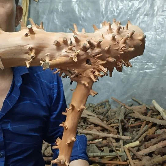 稳定木錒****?高山 檬子木文玩料