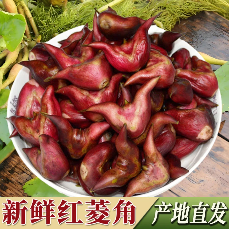 红菱角新鲜湖北洪湖特产2025当季水果菱角粉糯菱果老菱角两角菱角