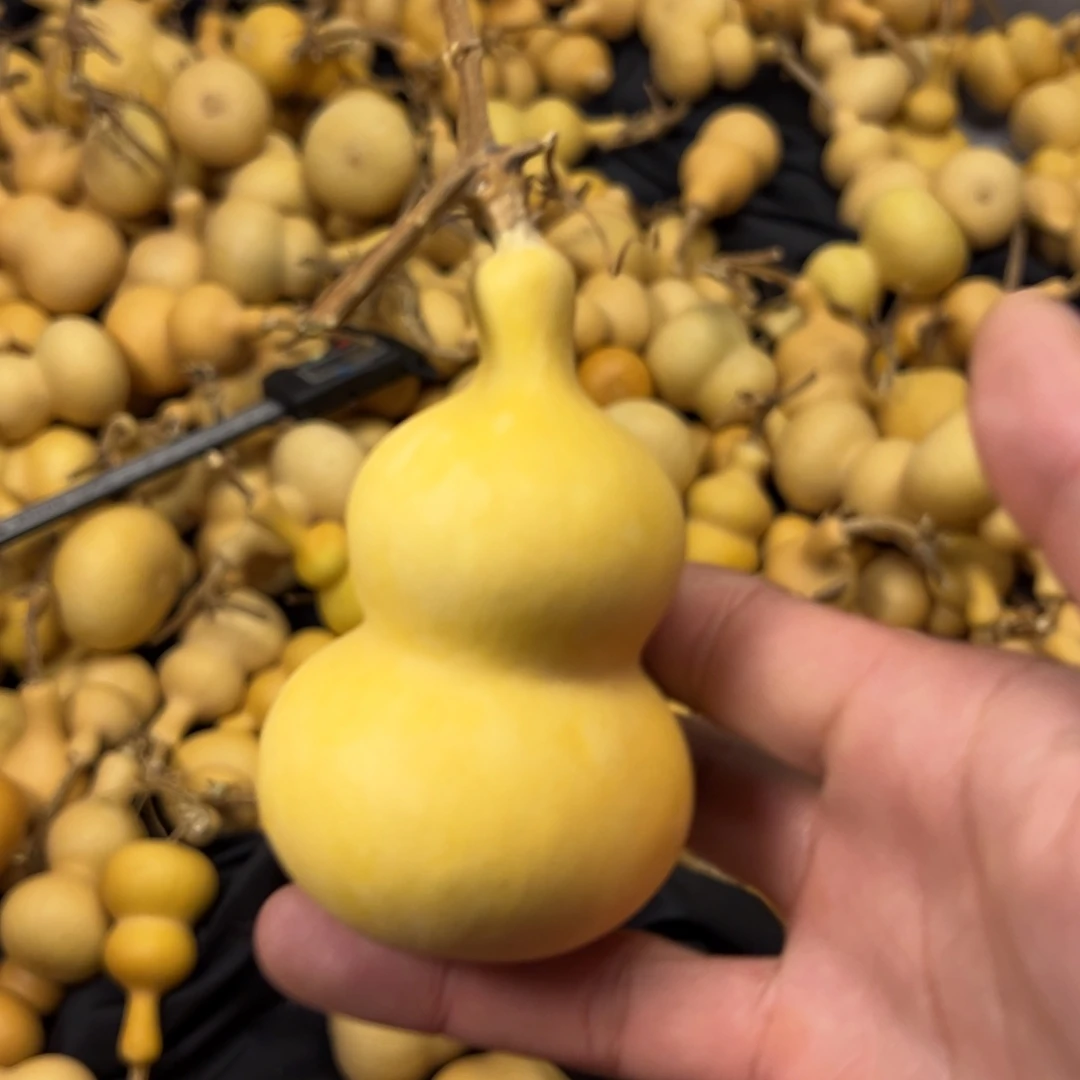 精品八宝手把件文玩