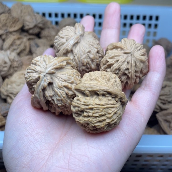 江***辞吊坠文玩核桃白狮子