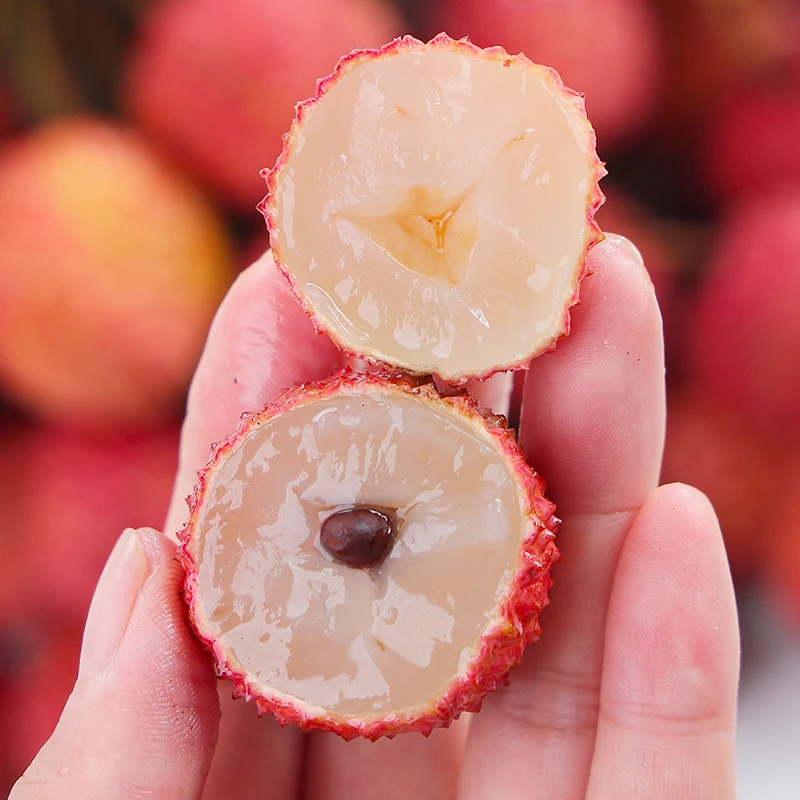 鲜南果 高州l桂味荔枝【特级果】 单颗18g+ 【礼盒】现摘现发空运荔枝同城送新鲜广东省