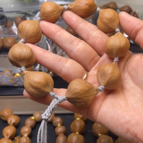 手串/手链贝壳橄榄核18.32