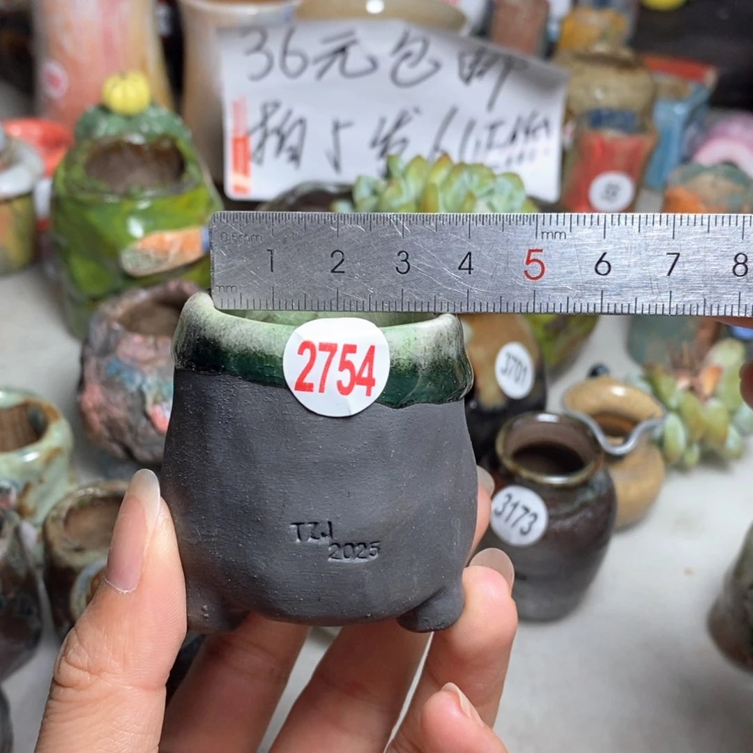 处理，拍5送一个小礼物