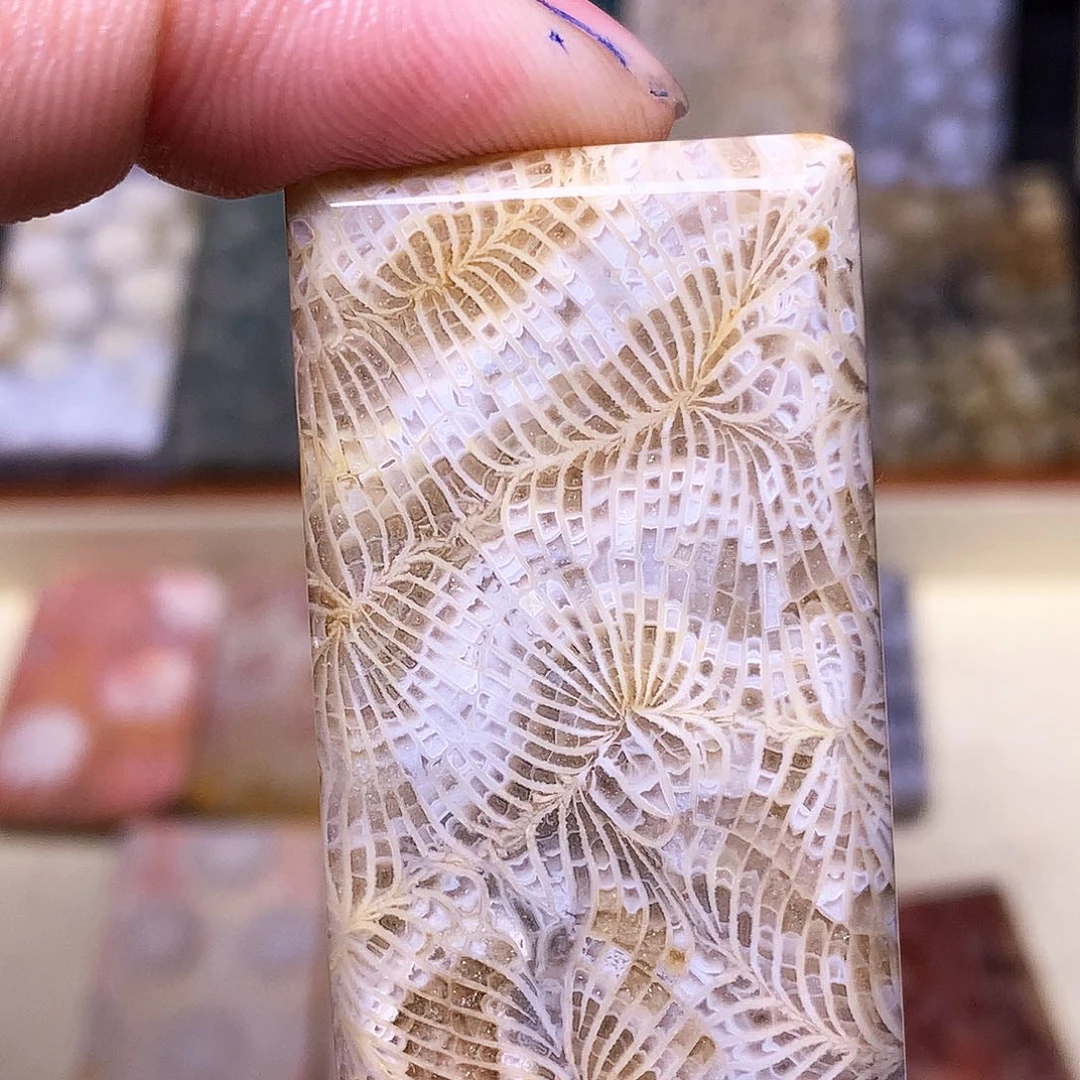 硅化玉珠宝奇石合金～***～