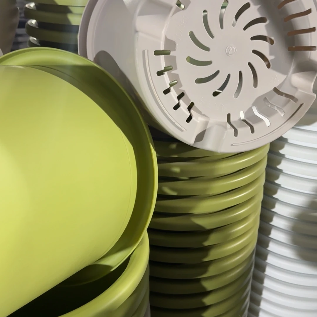 四季8号5个灰白色口径39高38