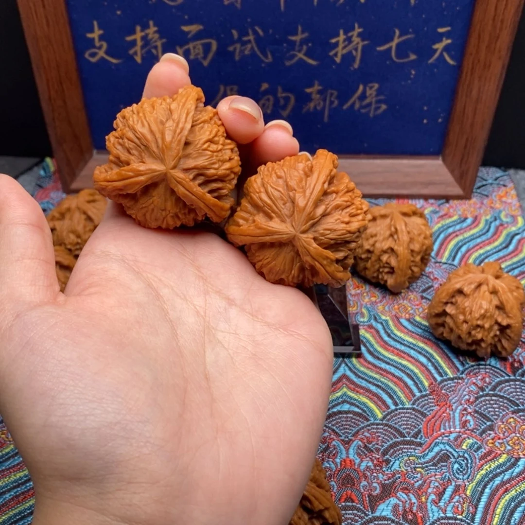 【闪购商品】欢**语白狮