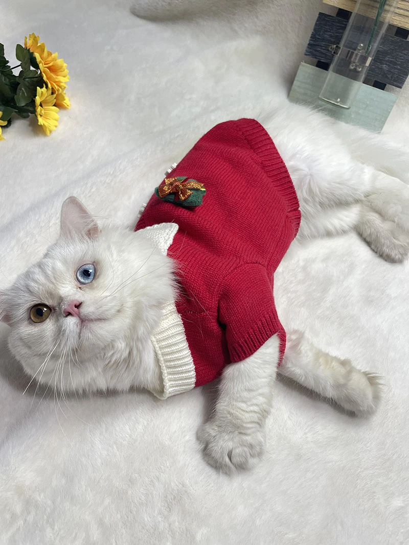 春秋款狗狗毛衣泰迪博美比熊猫咪防掉毛小型宠物保暖拍照道具圣诞