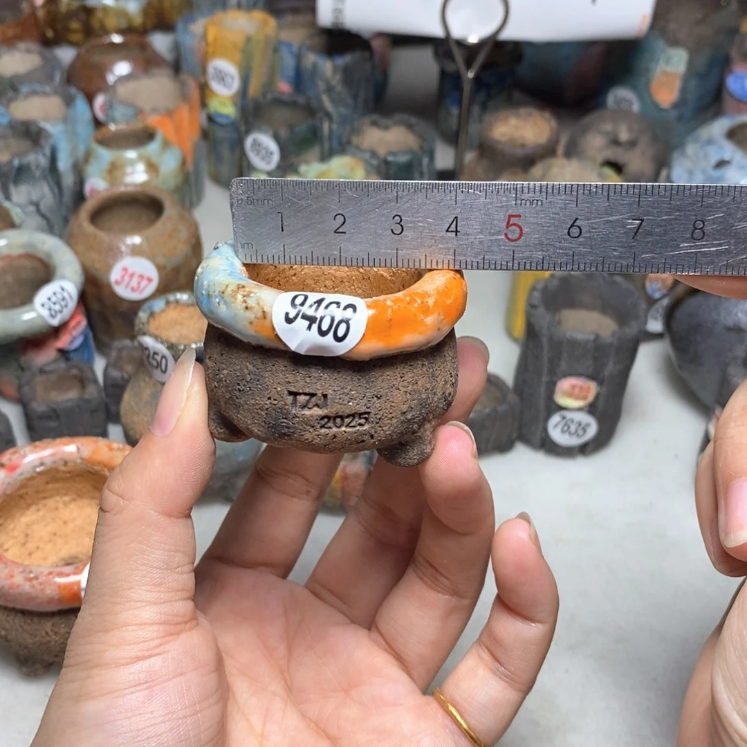 拍3送一个小礼物