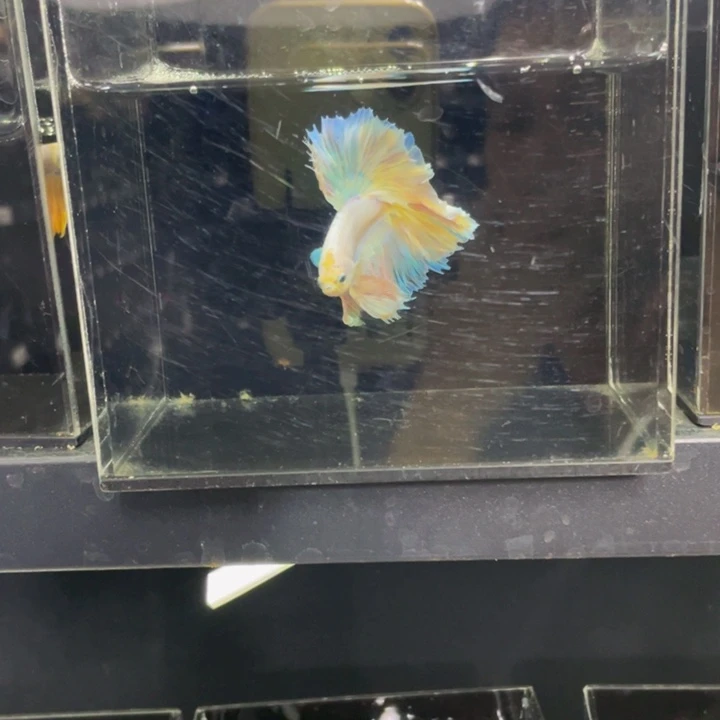 海水哈哈哈哈哈哈哈哈