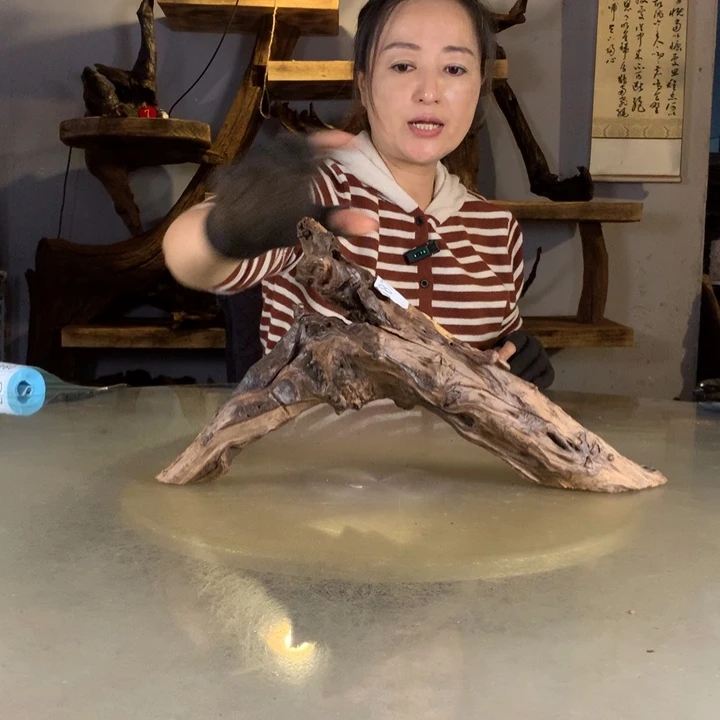 风***吹天然的云南紫柚木会黄水