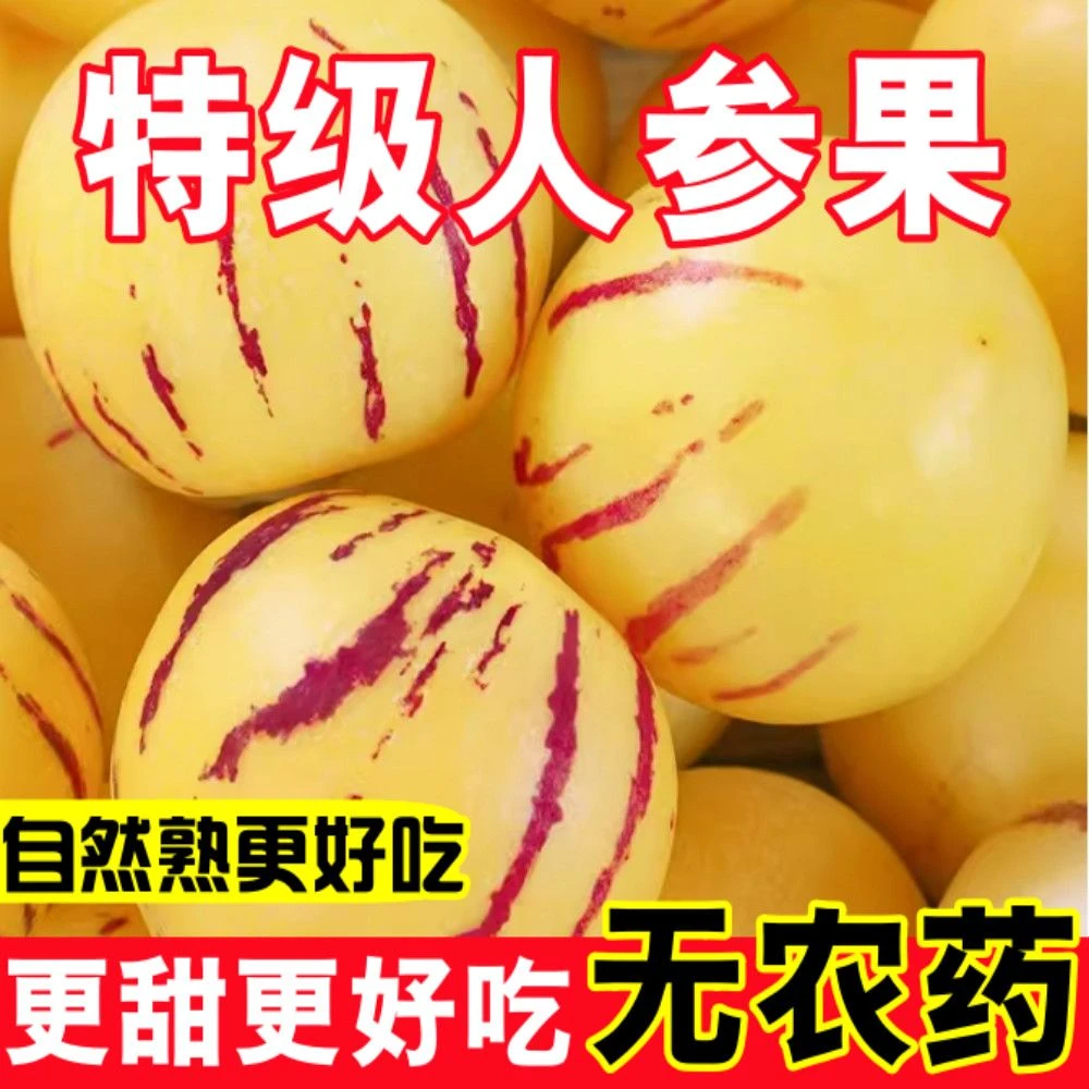正宗石林黄心黄肉人参果树上自然成熟新鲜应季水果孕妇果