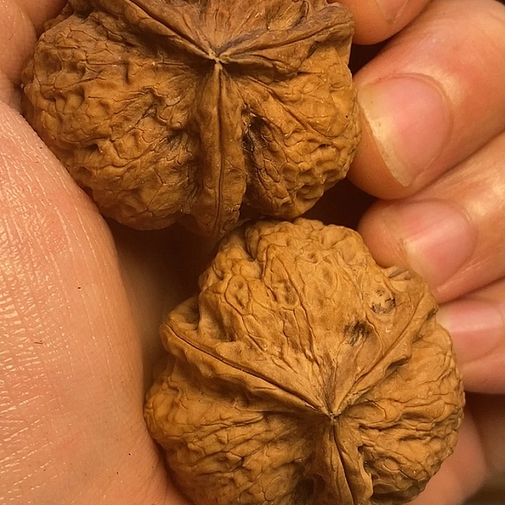 吊坠文玩核桃35。