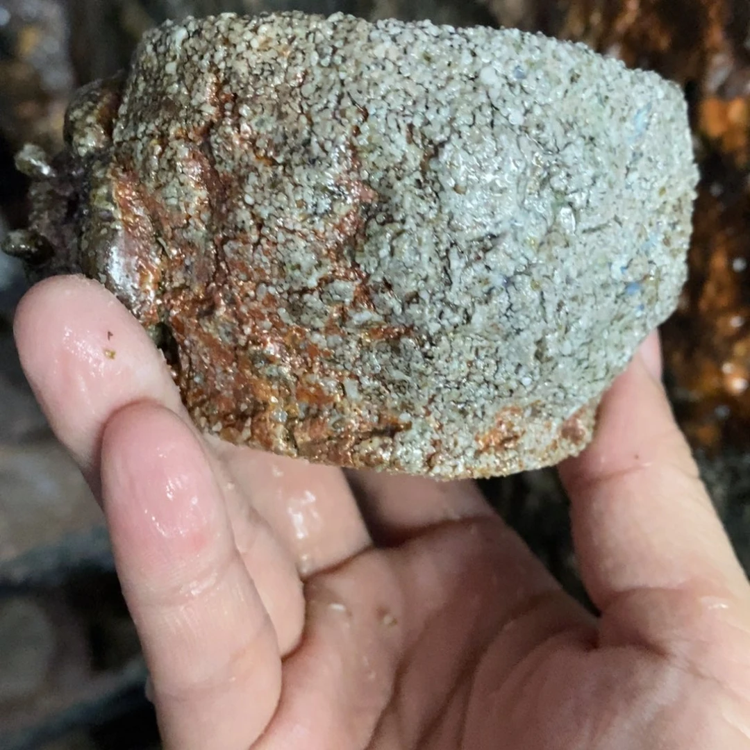 开窑大吉 高货多多277