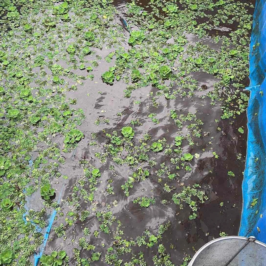 雷龙鬼王111111111