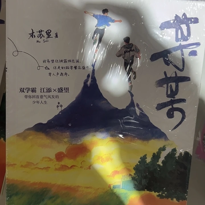 某某未删双十一破价